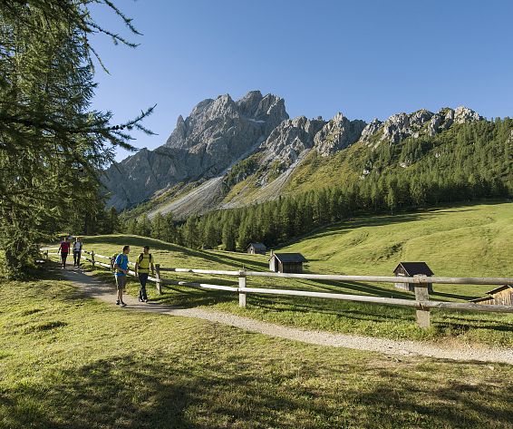 idm-sudtirolalto-adige-smg03020thgr-2