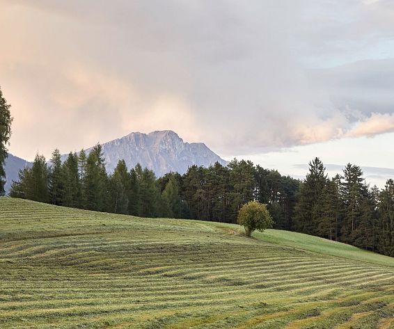 Mieminger Plateau_Landschaft_Kulturlandschaft_Tirol_hotelsINshape_best fitness hotels_Alpenresort_Schwarz@Tourismusverband_Innsbruck_2018