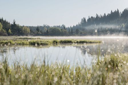 MuehlviertelLiebenauTannermoorRubnerteich_OberoesterreichTourismusGmbHMartinFickert