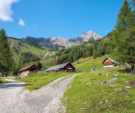 muhreralm-im-riedingtal-adobestock-219320507-2