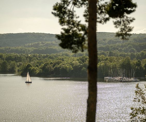 seeblick-segelschiff-baum-seezeitlodge-0624-090377hotelsinshape-2