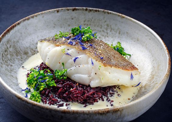 fischgericht-adobestock-426817951-3