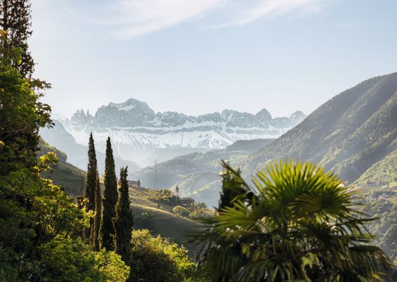 idm-sudtirolalto-adige-nz7-5419-o