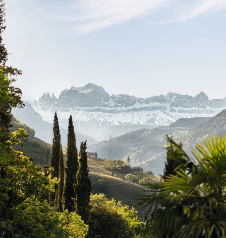 idm-sudtirolalto-adige-nz7-5419-o