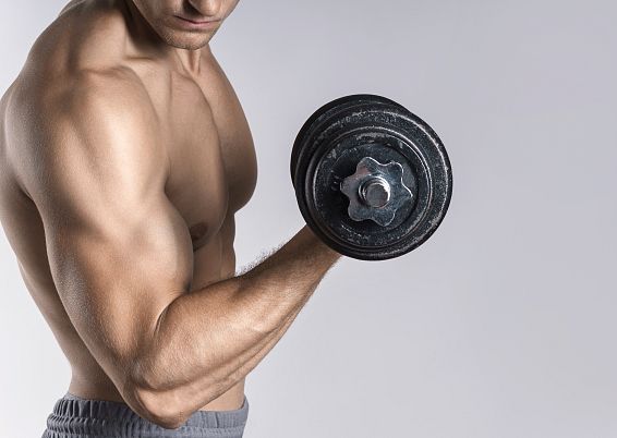 muskeltraining-adobestock-439566854-3